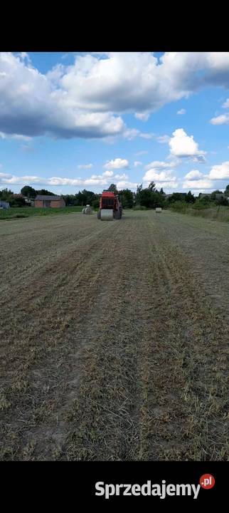 Sprzedam siano krow koni sianokiszonka Skierniewice