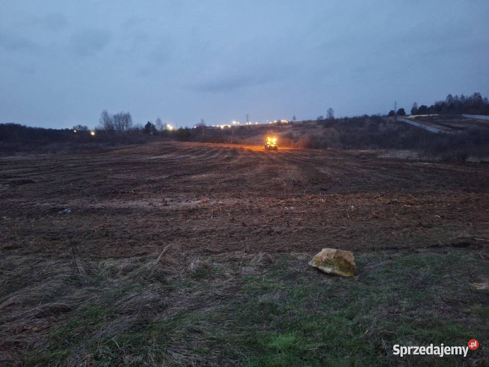 Wycinka drzew Czyszczenie działek Mulczowanie Żywiec