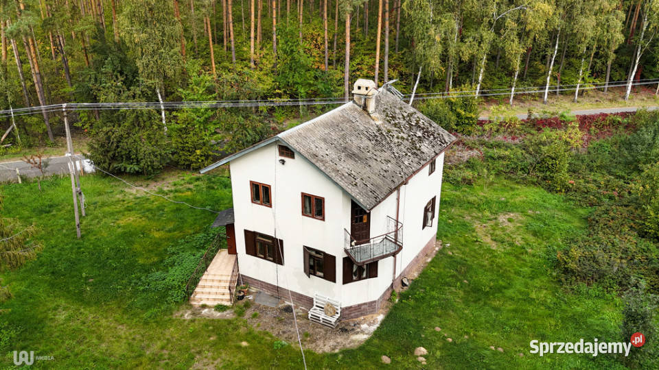 Dom w otulinie lasu 10 min Uniejowa 1498m2 Wilczków