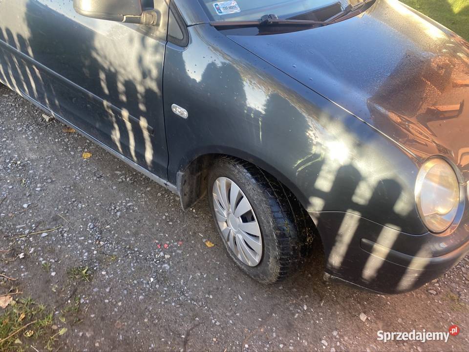 Sprzedam Bodzentyn sprzedam