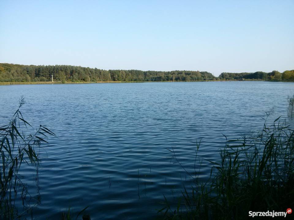 Stawy rybne Fishing Relax telefon Szczecin