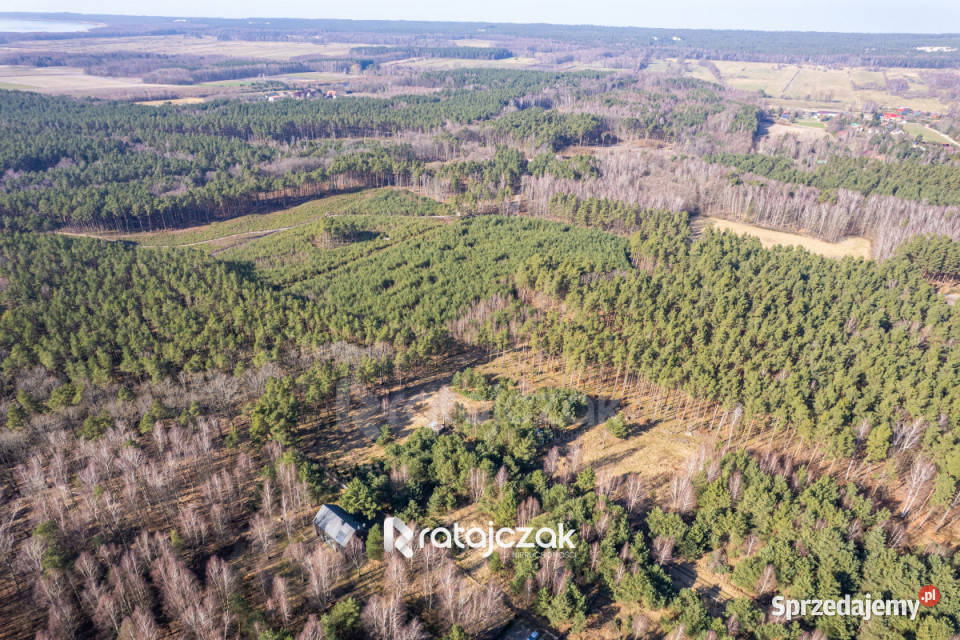 Grunt na sprzedaż 9751m2 Sasino Stara Cegielnia