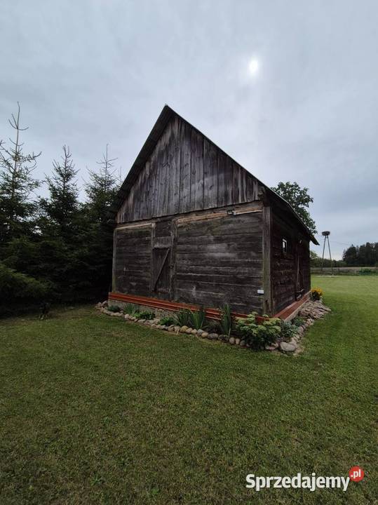 siedlisko na Podlasiu podlaskie Majewo