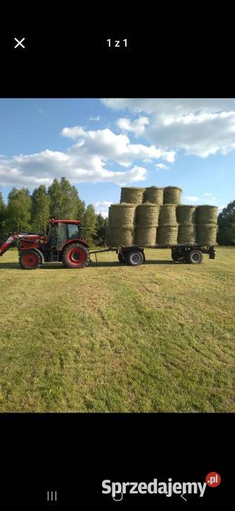 Siano Trawy, słoma Koniecpol
