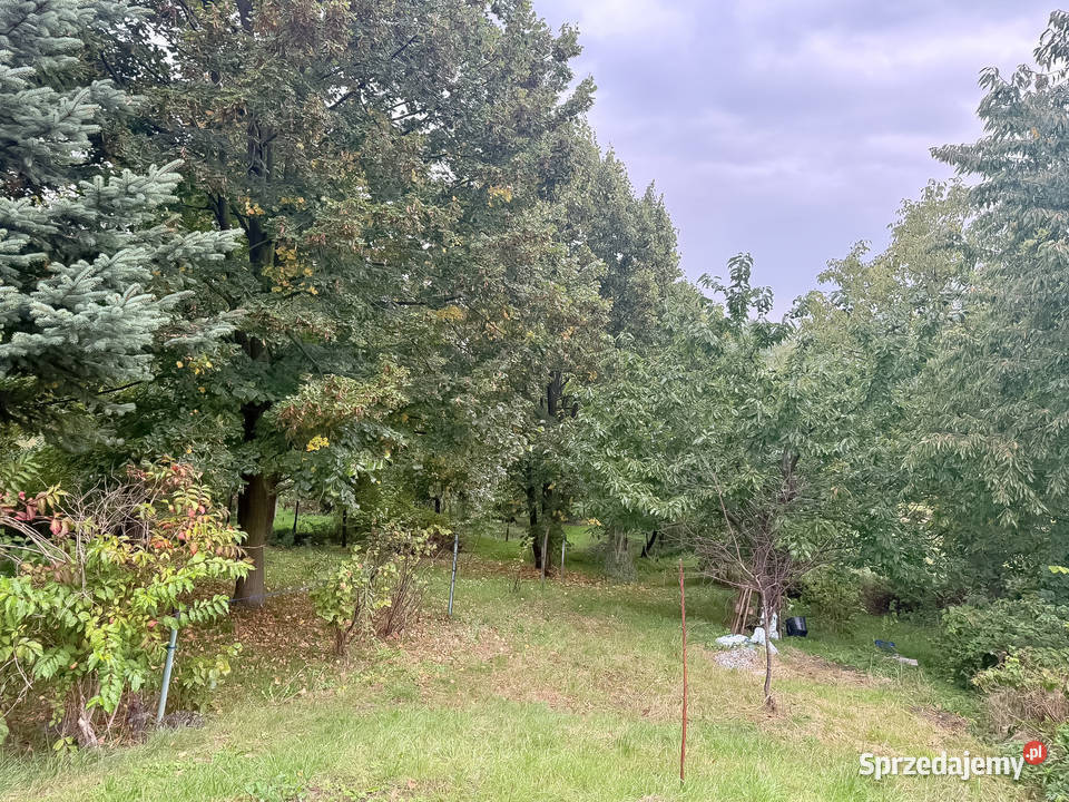 Sprzedam mały dom kawalerka 39m2 Zagórów działka sprzedam