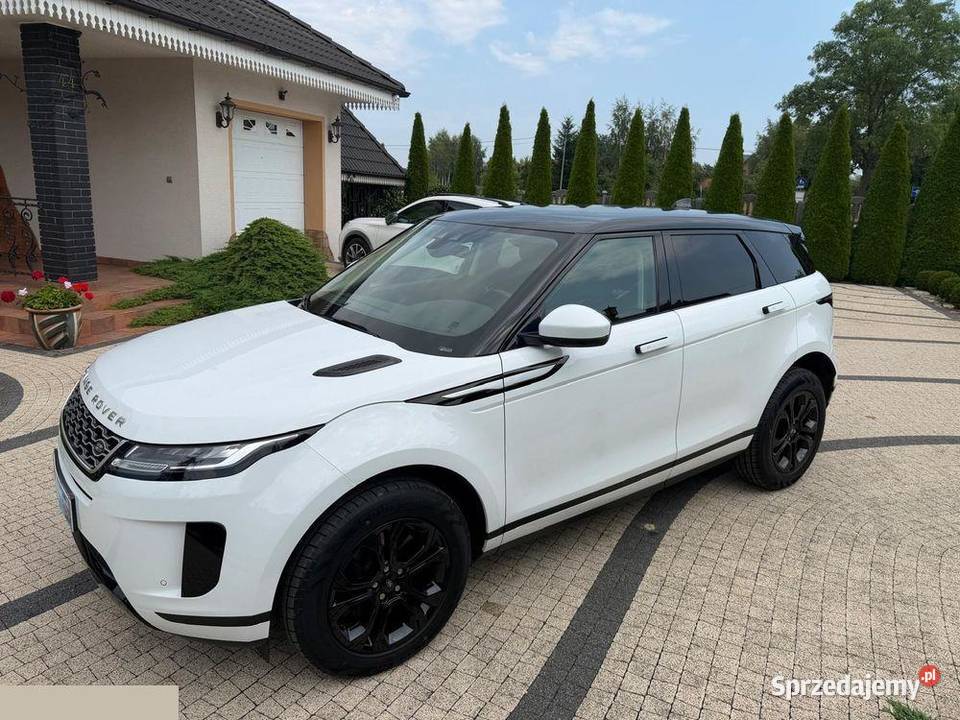 Land Rover Range Rover Evoque 20 P200 mHEV 200 Krotoszyn
