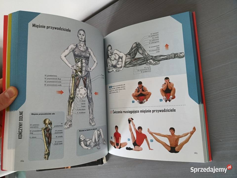 Zestaw 3 książki fitness Modelowanie sylwetki