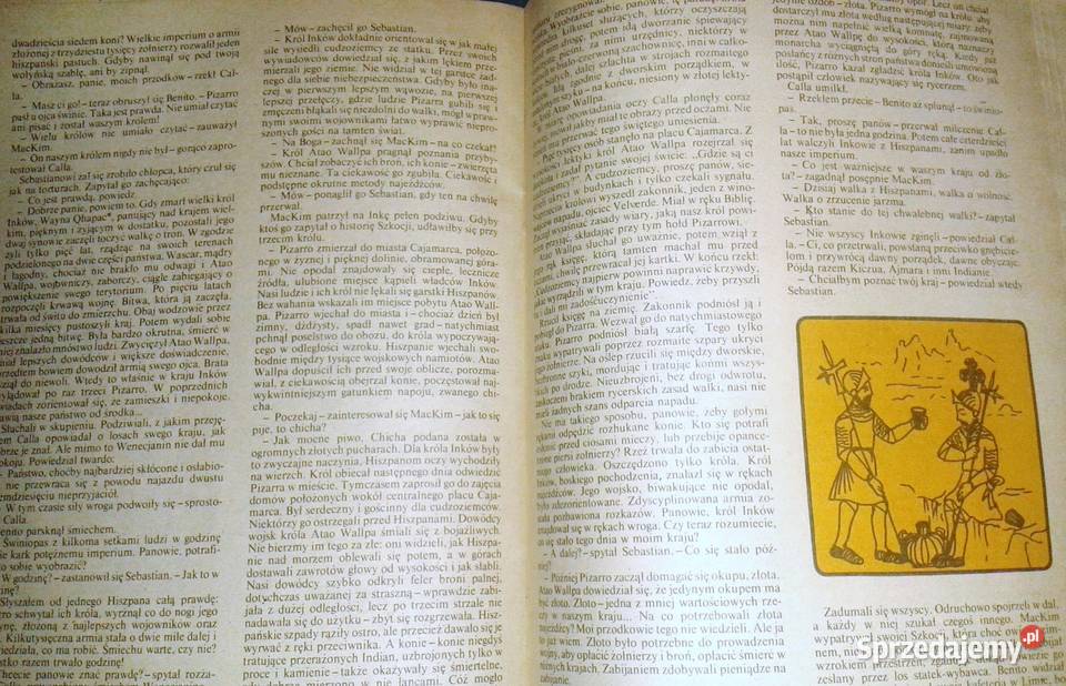 Spadek synach Słońca Aleksander Rowiński Chełm