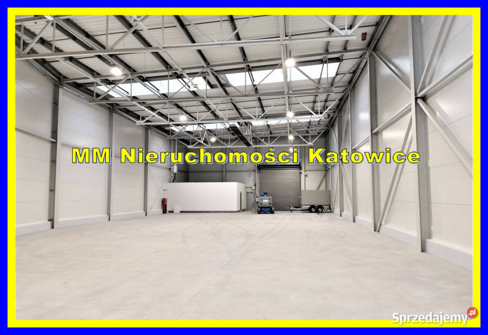 Wynajem lokalu Katowice 745m2 sprzedam