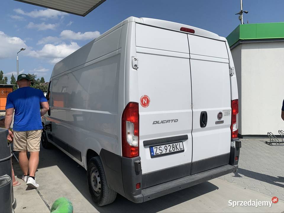 Wynajem Wypożyczalnia aut Fiat ducato