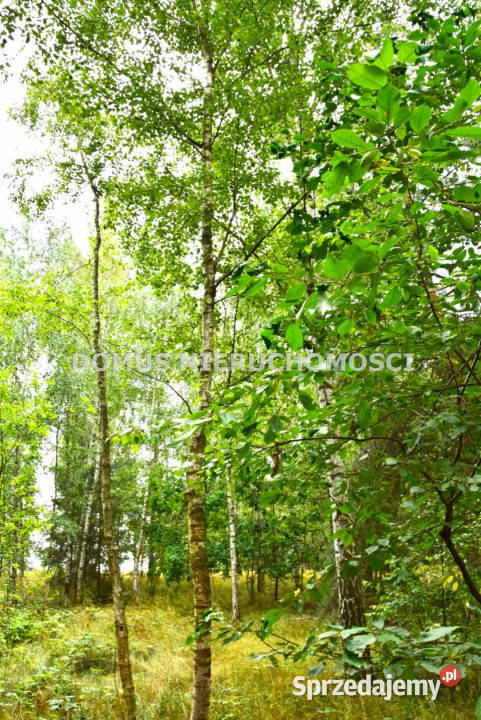 sprzedaży działki 7075m2 Zacywilki