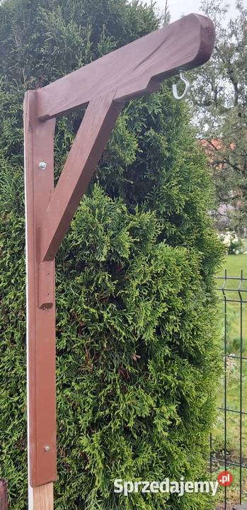 Świderek Ogrodowy Żabka Rybnik