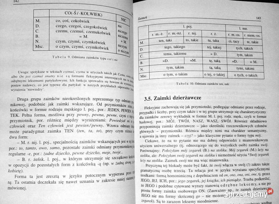 Zarys gramatyki polskiej Alicja Nagórko miękka Chełm