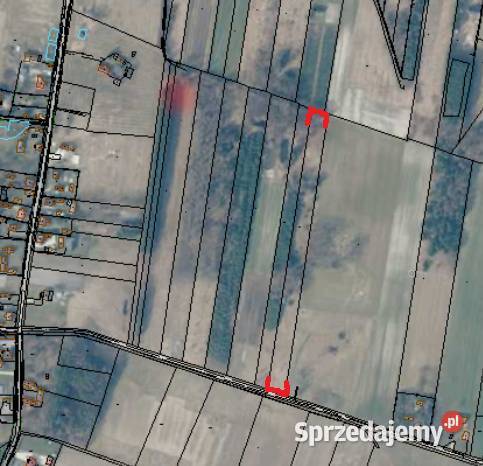 Działka Kołaczkowice świętokrzyskie