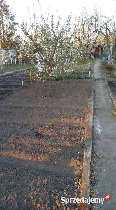 Odstąpię ROD Kolejarz Wrocław