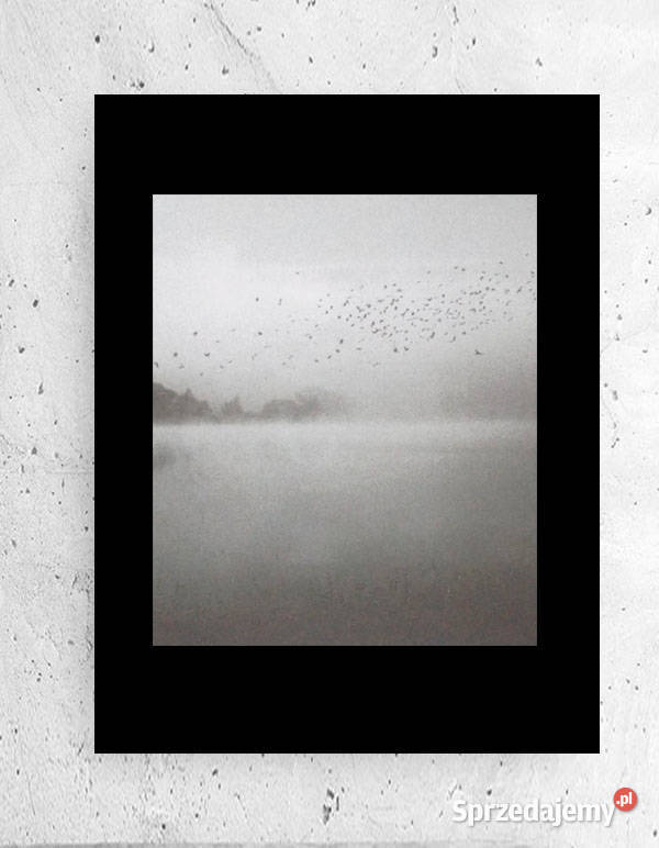 czarno biały plakat A4 biało czarny obraz 21x30 Olsztyn
