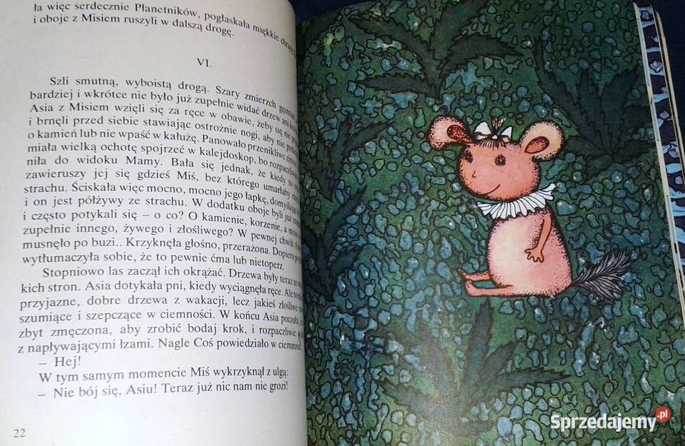 Gwiazdkowa przygoda Jolanta HartwigSosnowska Rok wydania 1980 Chełm sprzedam