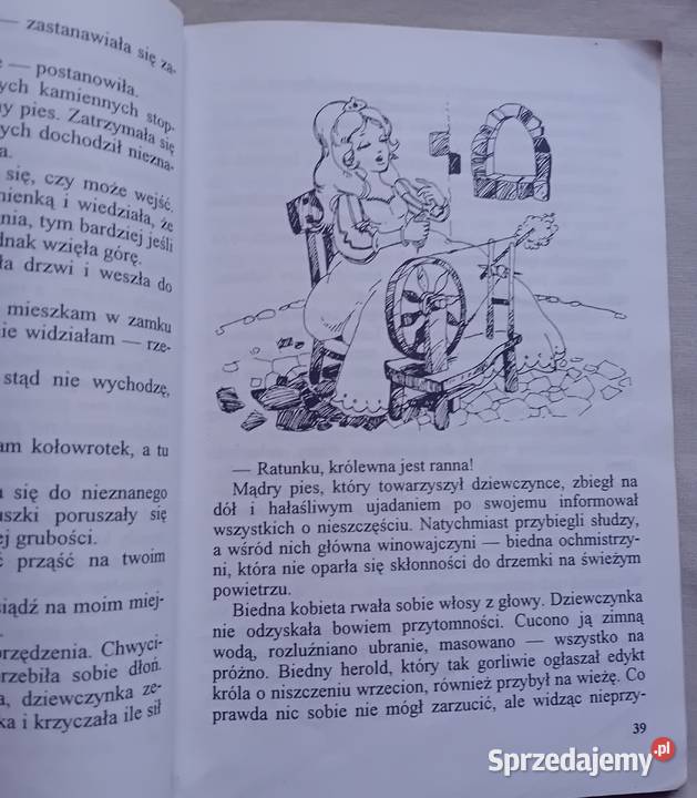 Charles Perrault Bajki Wyd Zielona Sowa 1998 r Koźminek sprzedam