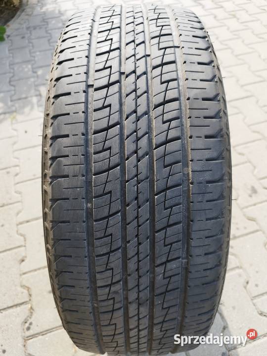 Advanta SVT01 24555r19 ms Staw sprzedam