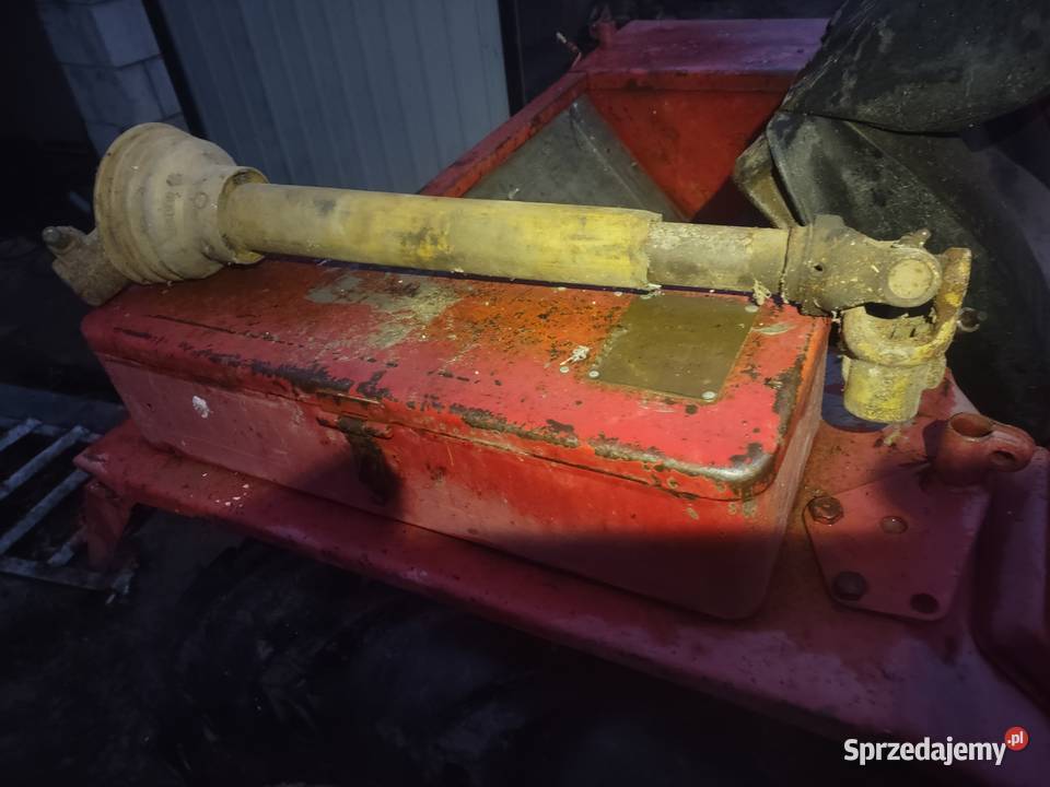 Walek Rosochy sprzedam