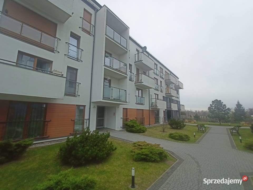 Syndyk Sprzeda mieszkanie Złote Łąki Kościelna Kościelna Wieś