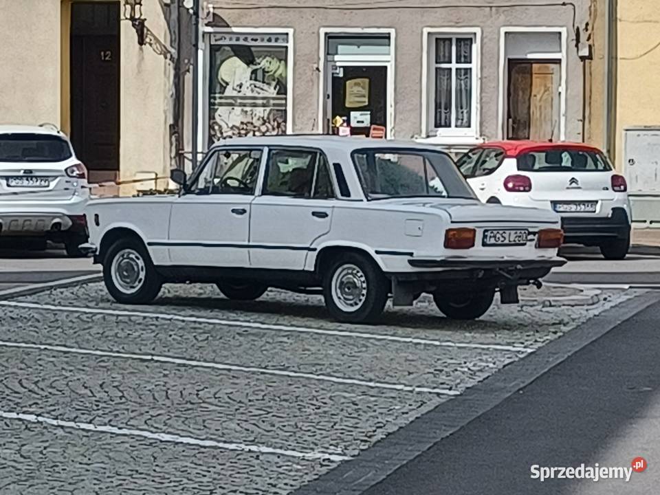 Sprzedam biały kruk wielkopolskie Gostyń