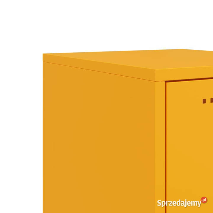 Szafka musztardowa 36x39x123 stalowa WM846527 Warszawa
