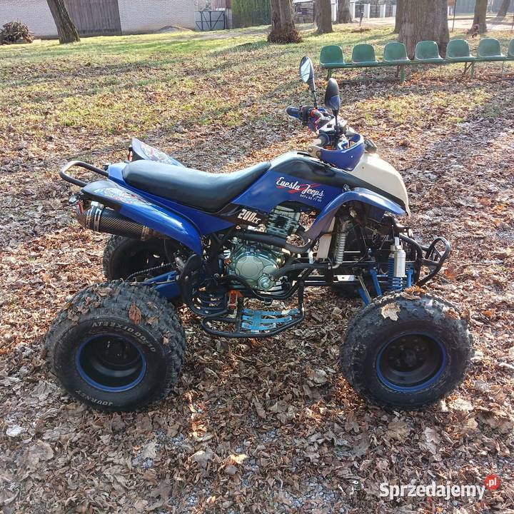 Bashan 200 Pokrzywnica