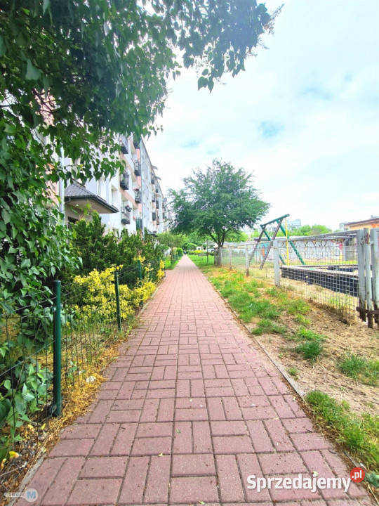 Ogłoszenie mieszkanie Kielce 261m2 1 pokój sprzedam