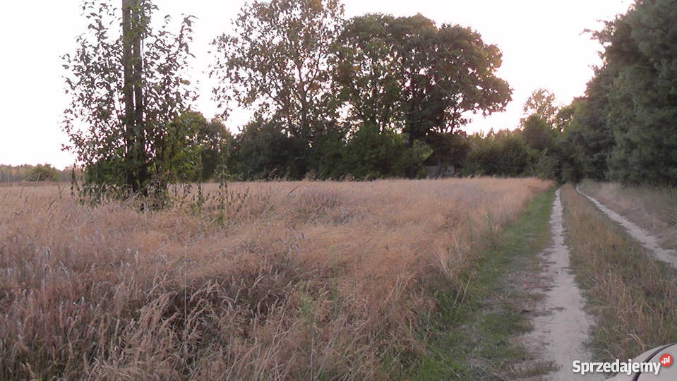 Działka w Chylinie Wielkim 4zł/m2