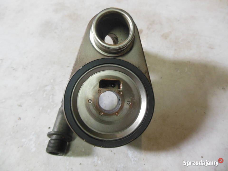 504050068 CHŁODNICA OLEJU SILNIKA 23 DUCATO Kozy sprzedam