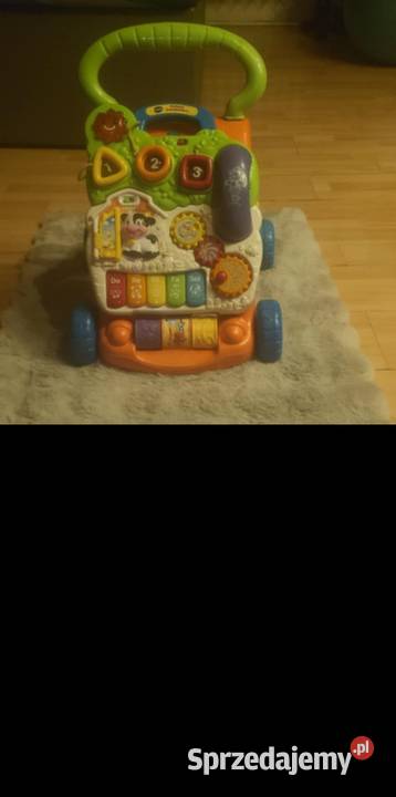 ChodzikPchacz warmińsko-mazurskie Gołdap