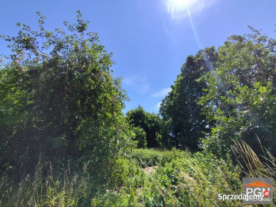 Działka na sprzedaż 3072m2 Rewal 43m Nieruchomości zachodniopomorskie