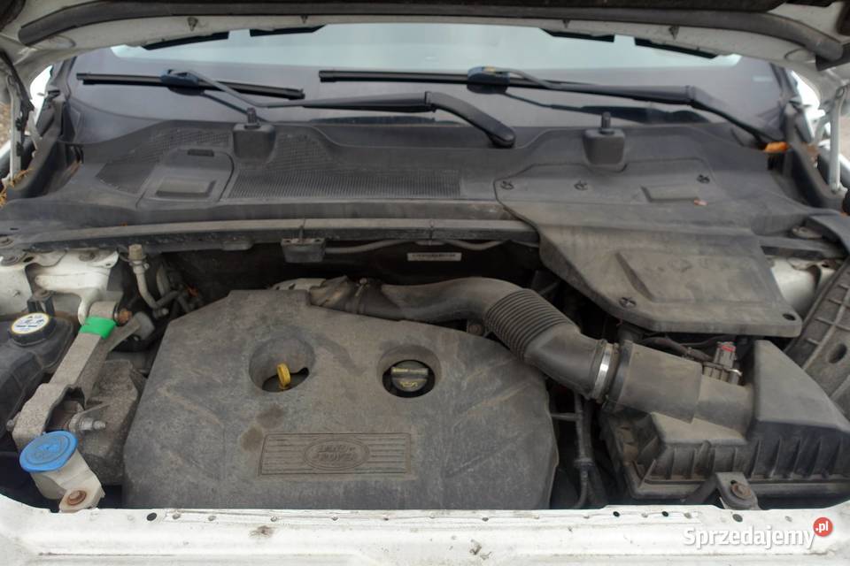 LAND ROVER DISCOVERY SPORT 20T 240 4X4 SALON skórzana tapicerka Buczkowice