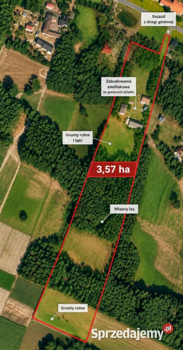 Siedlisko 357 ha z zabudowaniami i własnym lasem wielkopolskie sprzedam