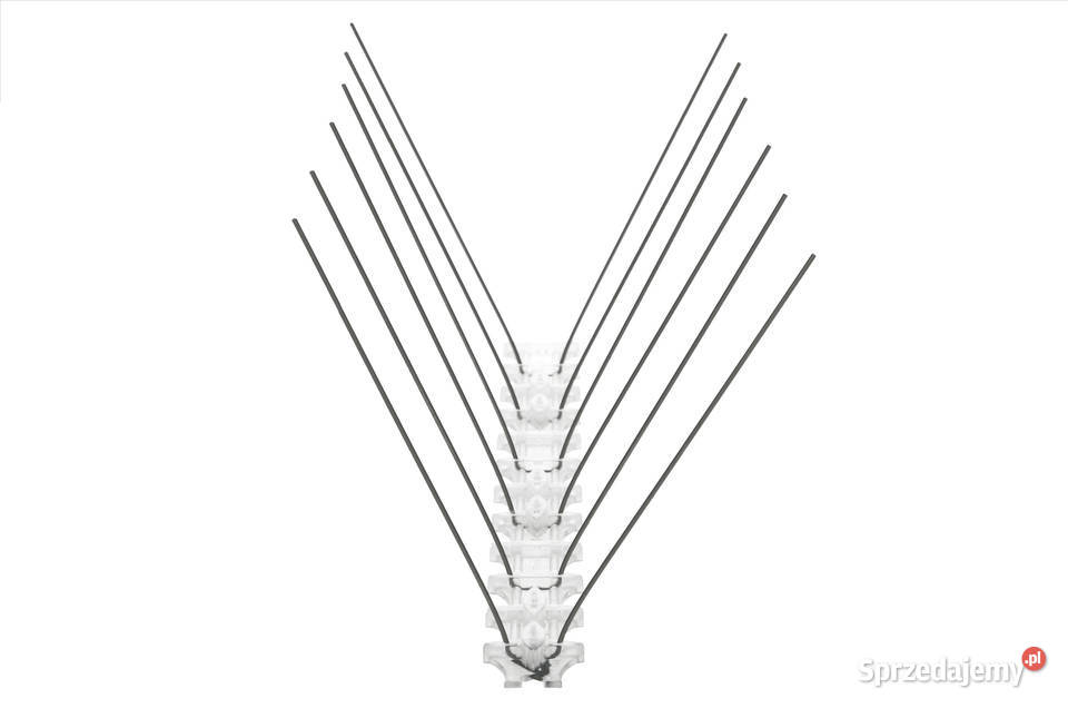 Kolce na ptaki PKNP20 50 mb kolców nierdzewnych Pozostałe Częstochowa