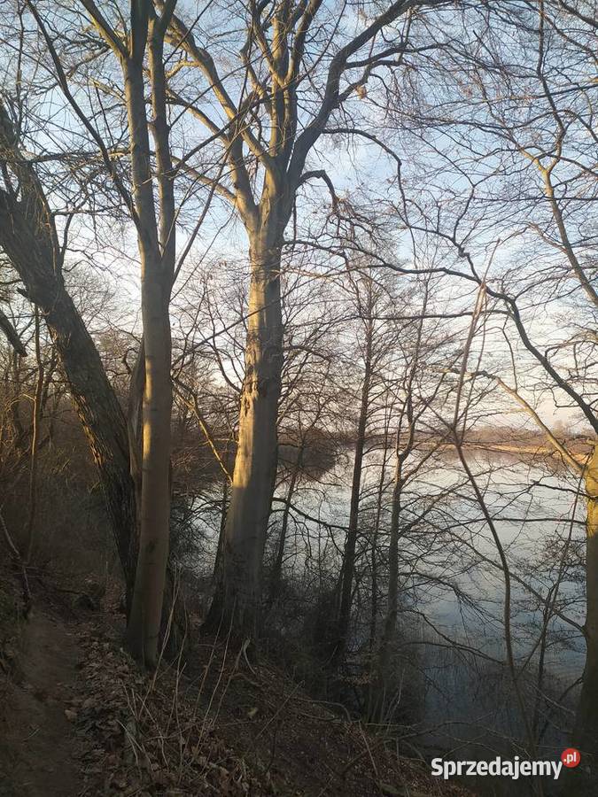 Działka jeziorem w powiecie rypińskim z linią Trąbin-Rumunki sprzedam