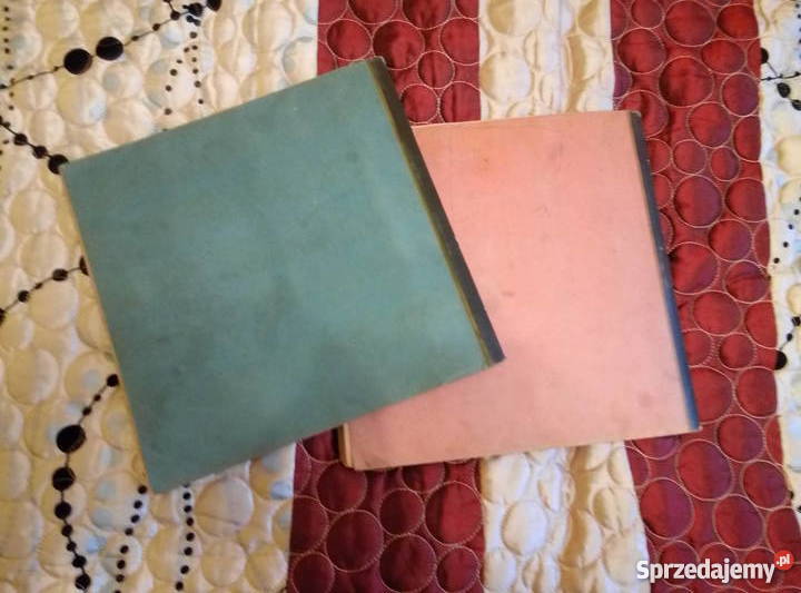 książki Die Malerei Der Renaissance Die Malerei pomorskie Prabuty