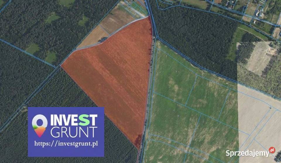 2001 ha przetarg na dzierżawę gruntów rolnych Zakroczym sprzedam