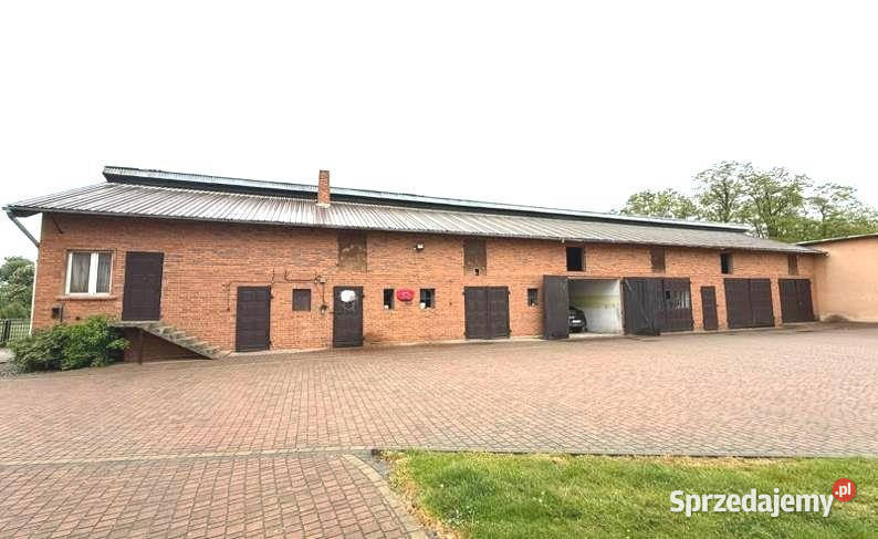 Sprzedam dom i szklarnie wielkopolskie Godziesze Małe