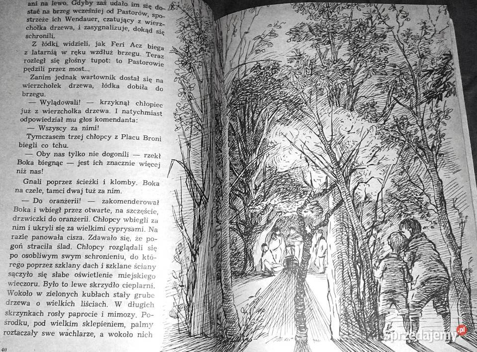 Chłopcy z placu broni Ferenc Molnar Chełm