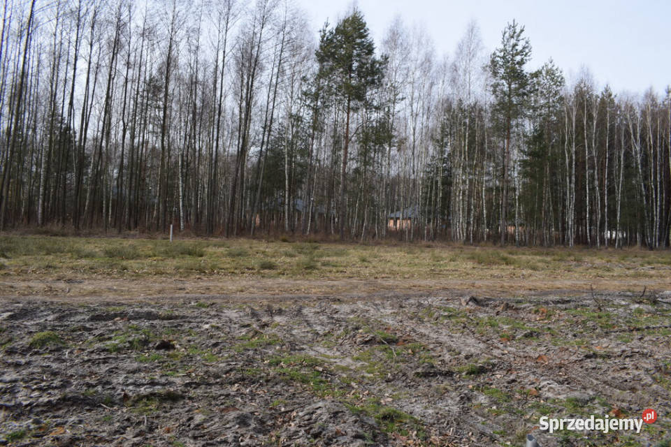 Działki 10a pod zabudowę pod lasem Widełka sprzedam