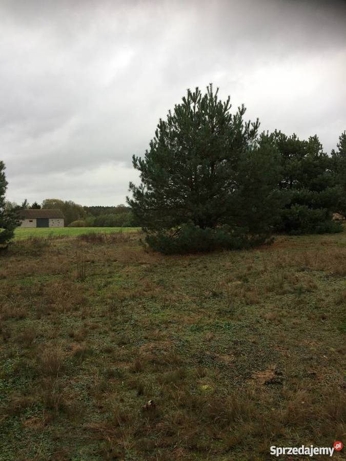 Działki I Siedlisko Jeziorem Zdworskim Grunty i działki Matyldów