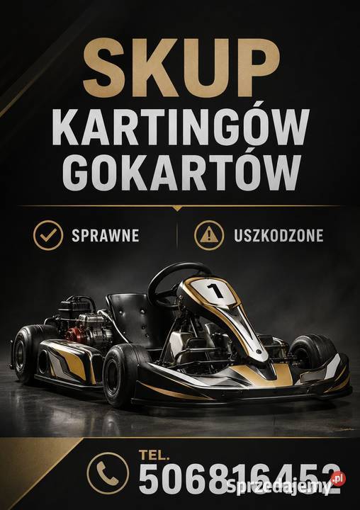 SKUP KARTINGÓW KARTING GOKART GOKARTÓW KARTINGI