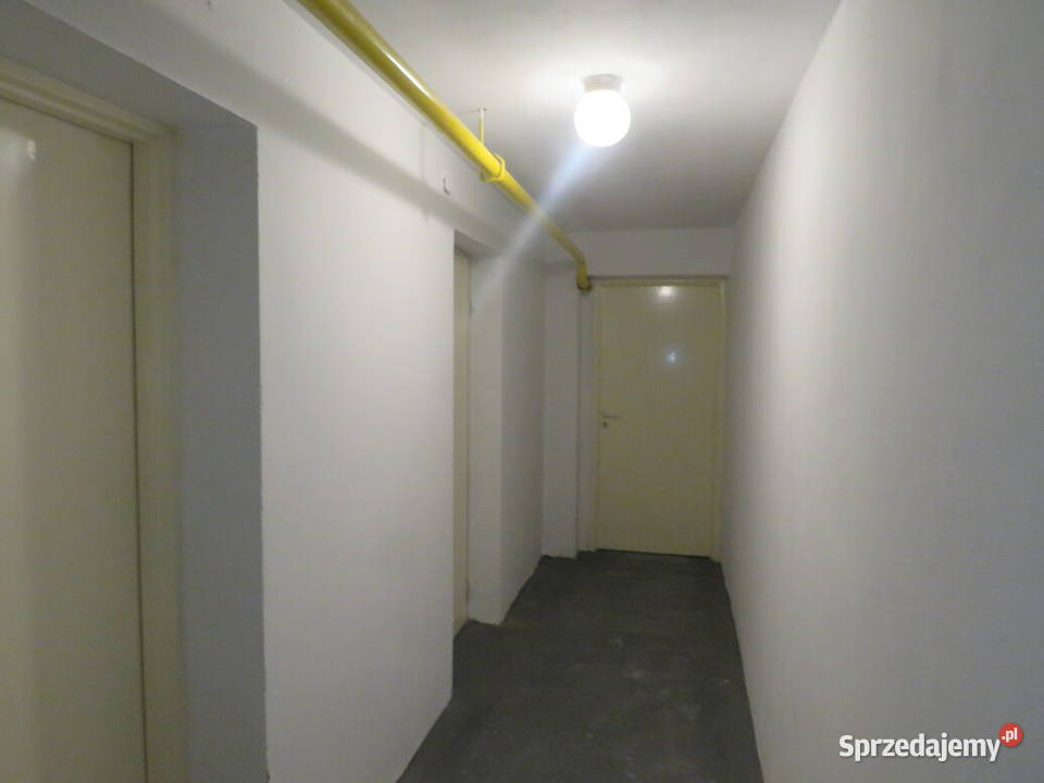 Syndyk sprzeda piwnicę lokatorską w Siedlcach parter