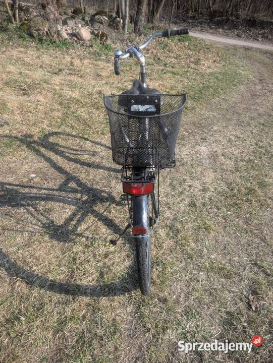 Rower miejski Greens Biała Piska