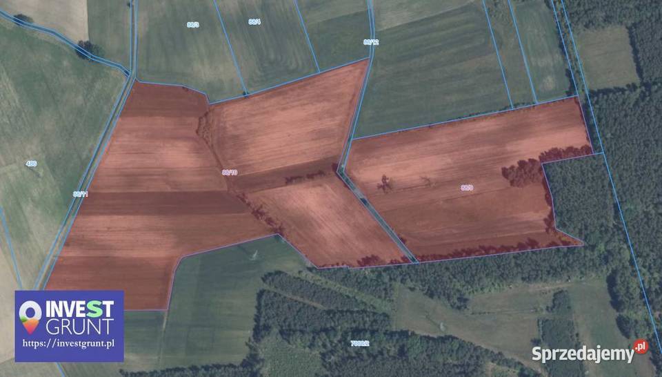 725 ha przetarg na dzierżawę gruntów rolnych sprzedam