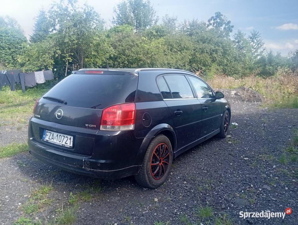 Opel Signum 19 CDTI 150 Nysa