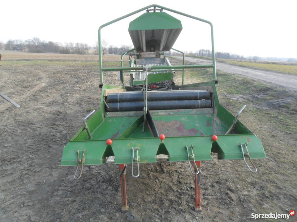 sortownik do ziemniaków cebulu remprodex kujawsko-pomorskie Brodnica