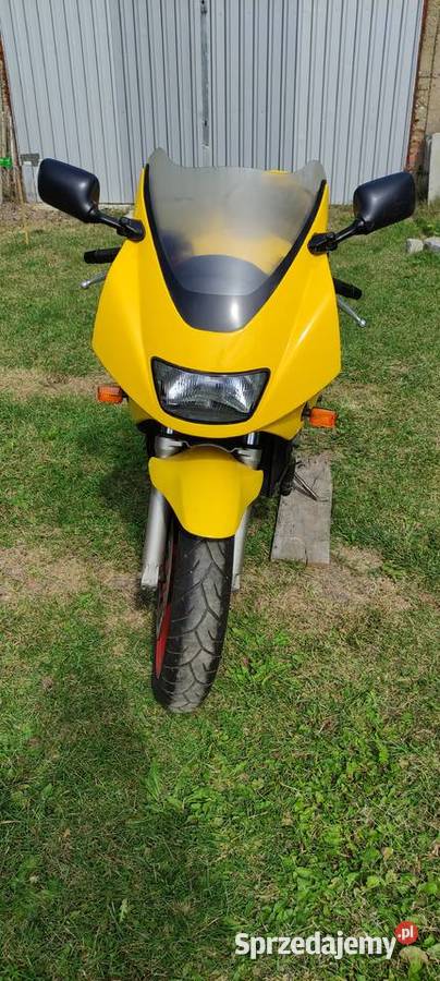 Suzuki RF 600R Kotków